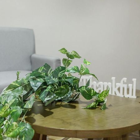 Relax In Style - Roma Norte 3Br - Fast Wifi مدينة مكسيكو المظهر الخارجي الصورة
