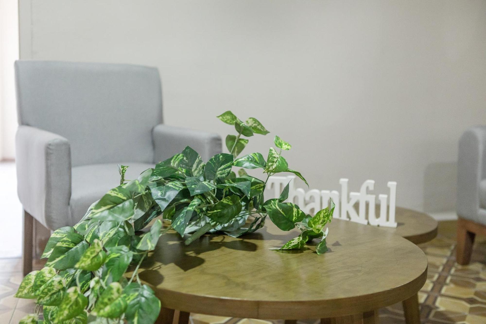 Relax In Style - Roma Norte 3Br - Fast Wifi مدينة مكسيكو المظهر الخارجي الصورة